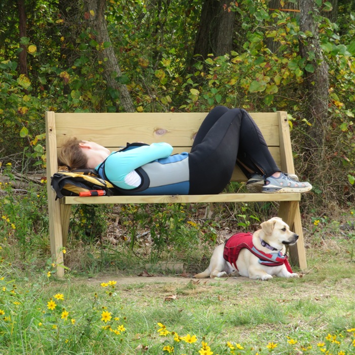 Norma sleeping on bench with Daphne underneathe