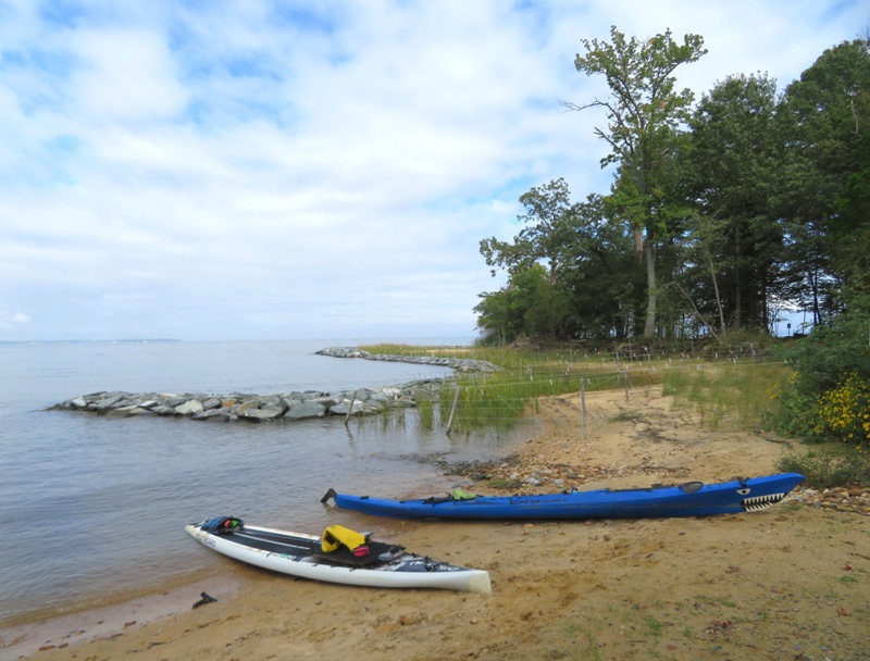 SUP and kayak on beach