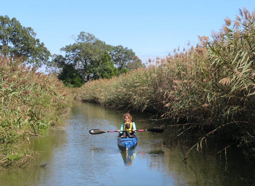 Norma on kayak surrounded by bay grasses