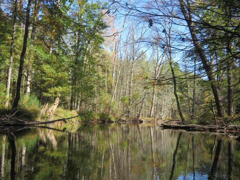 Bucolic Mountain Creek