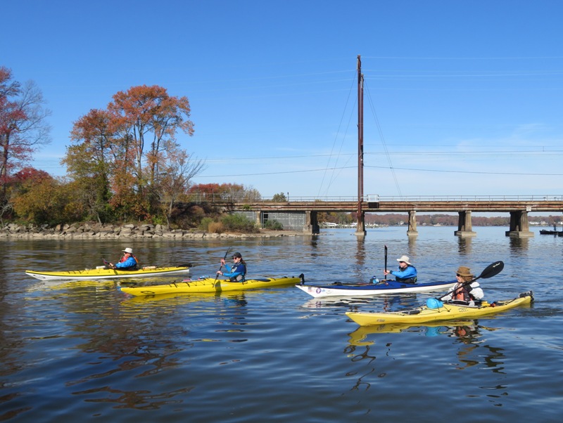 Four kayakers with train bridge behind