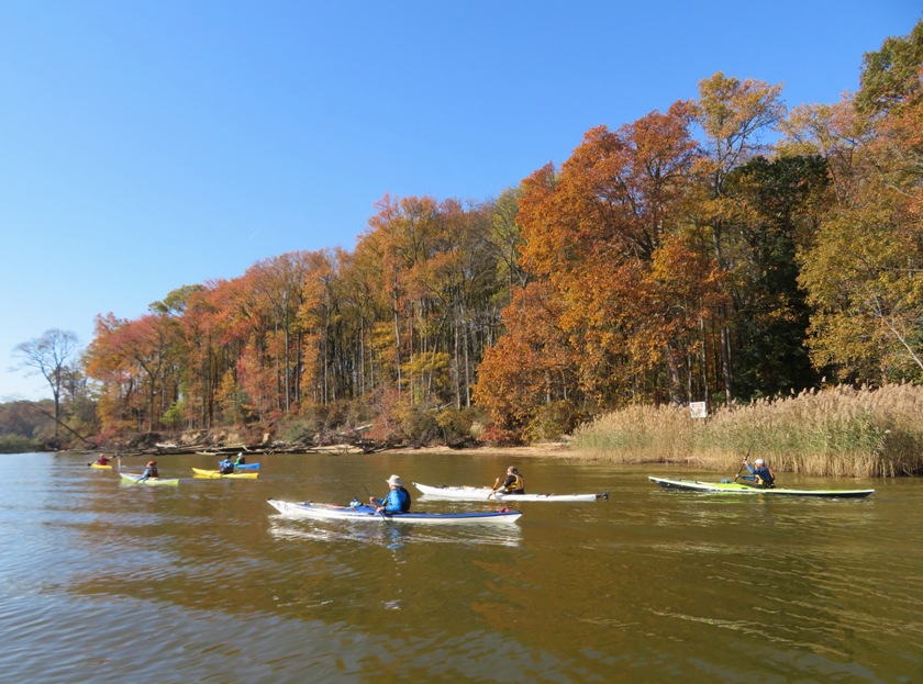Several kayakers with colorful leaves on trees in the background