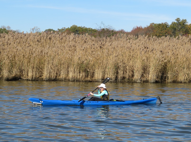 Norma kayaking with tall grasses behind