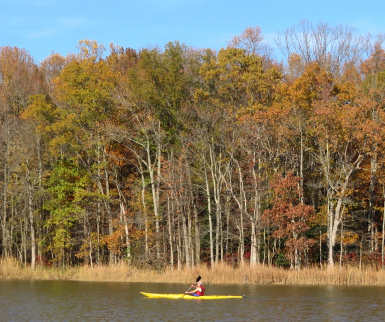 Serge kayaking yellow boat