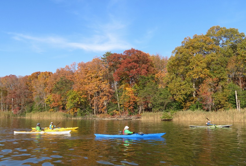 Four kayaks on the water with fall colors behind