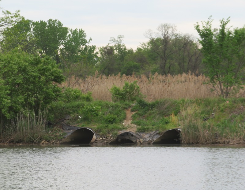 Three drain pipes on shore