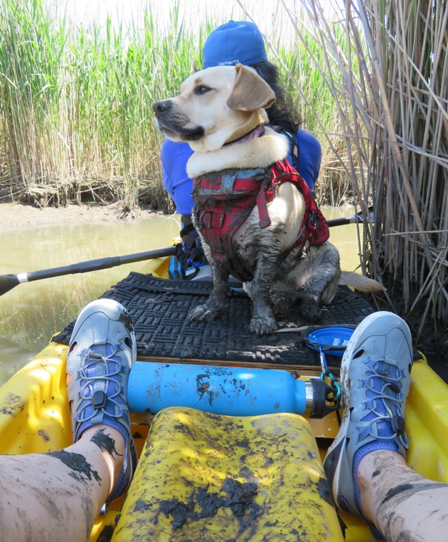 Daphne's lower half all muddy, standing on kayak
