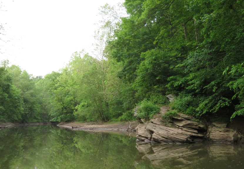 Layered rocks by the water along with trees
