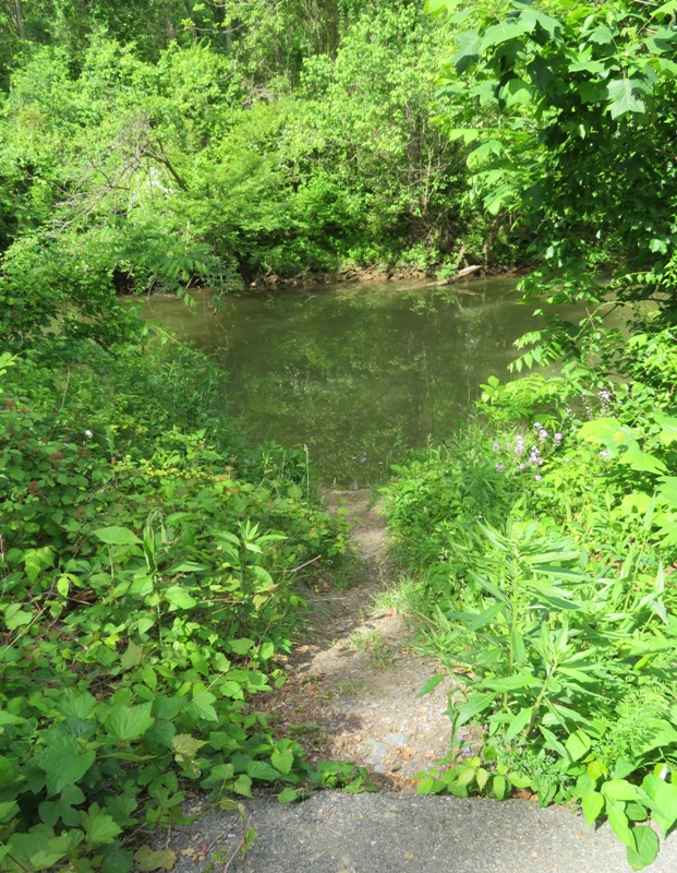 Narrow path to water