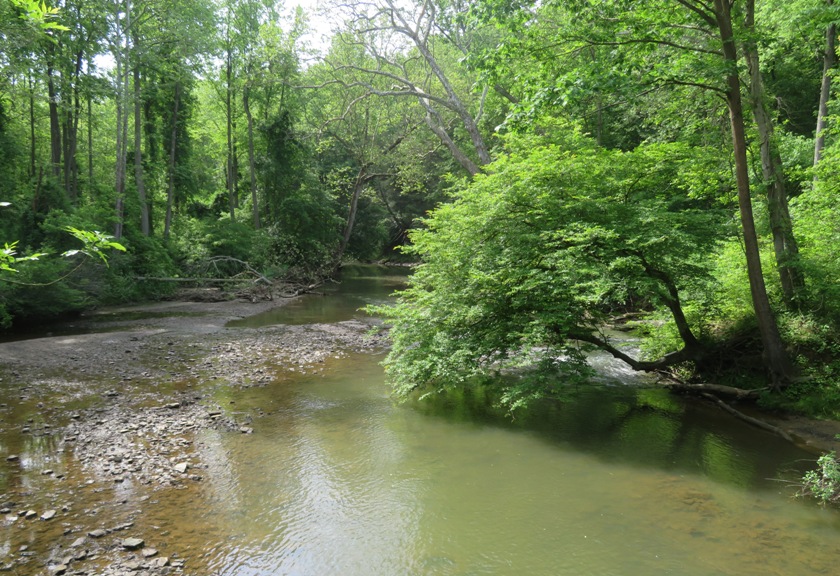 Shallow, rocky area
