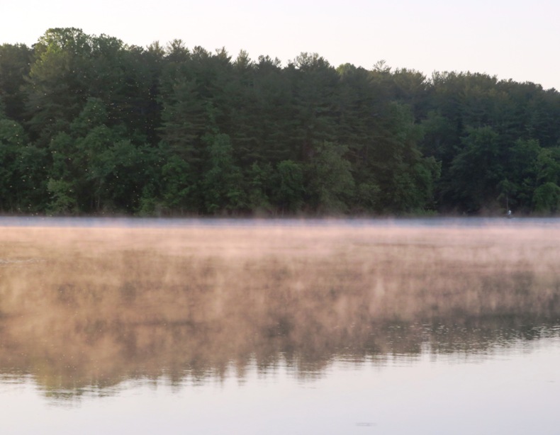 Low fog over water