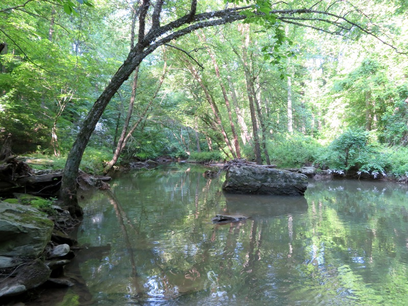 Boulders on Cattail Creek with arched tree