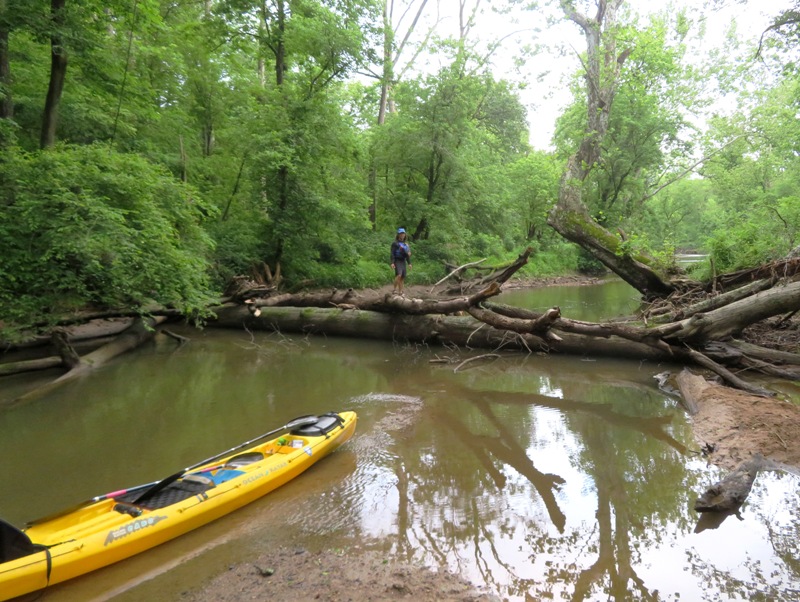 Me standing on large downfall with kayak in foreground