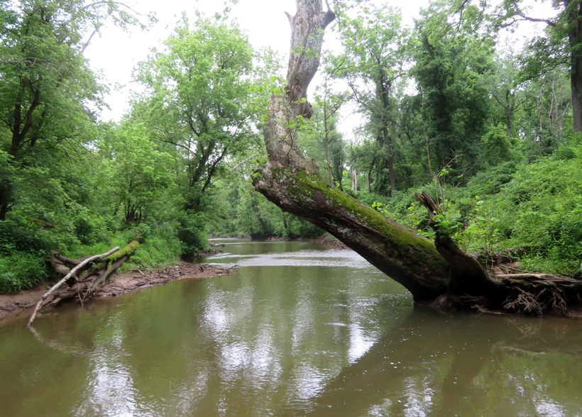 View upstream of turnaround point