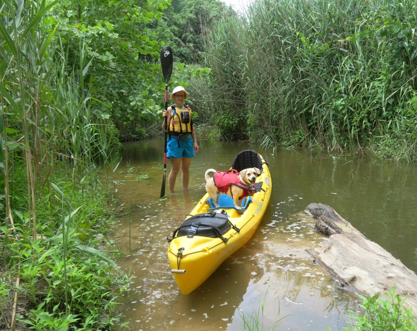 Norma and Daphne with kayak on a narrow section of the creek