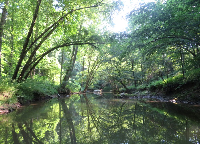 Tree-lined view of waterway