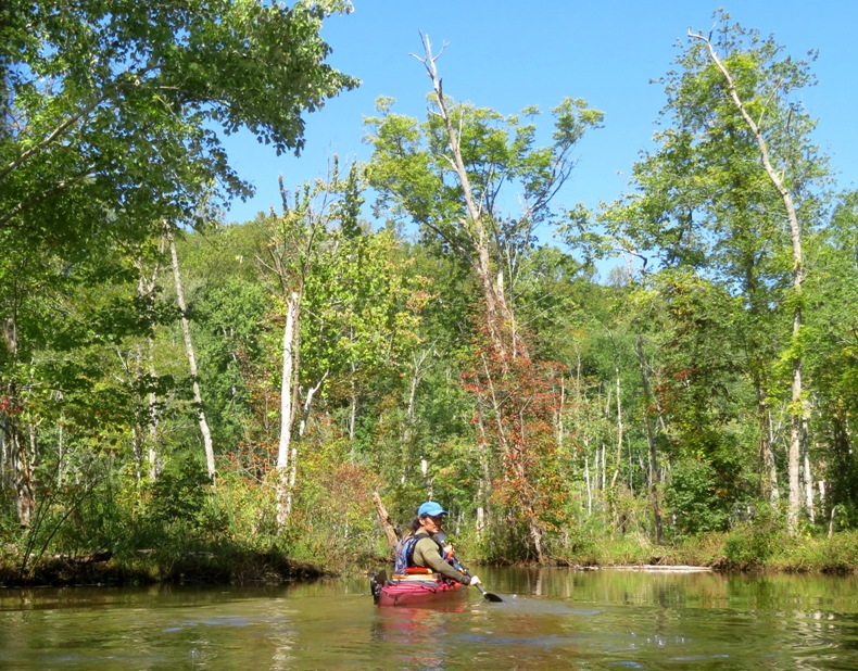 Me in kayak in wooded part of creek