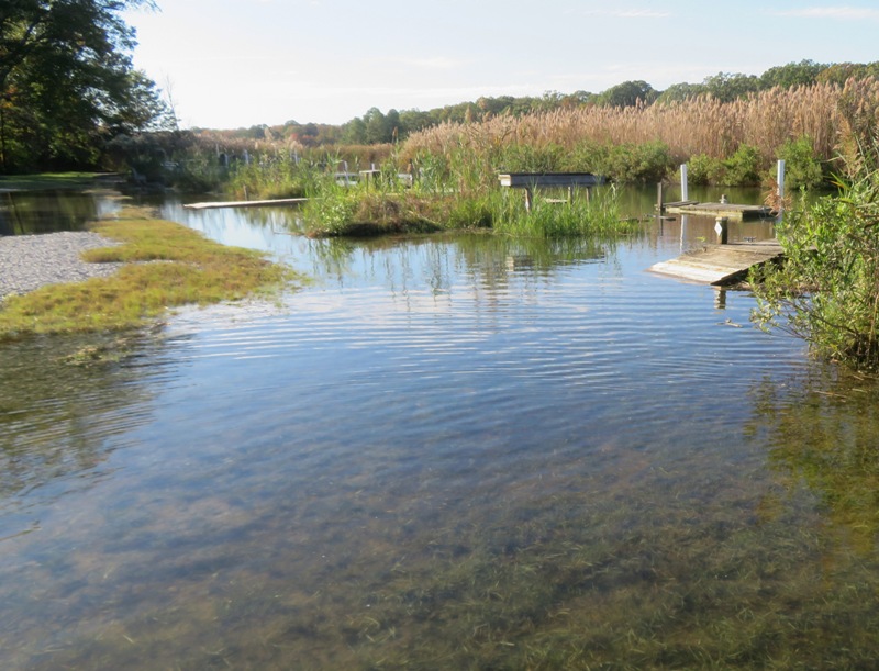 A view of piers from the side that should be dry land