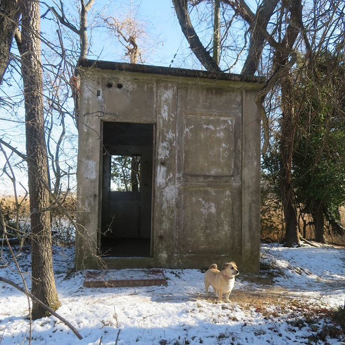 Daphne at old concrete building