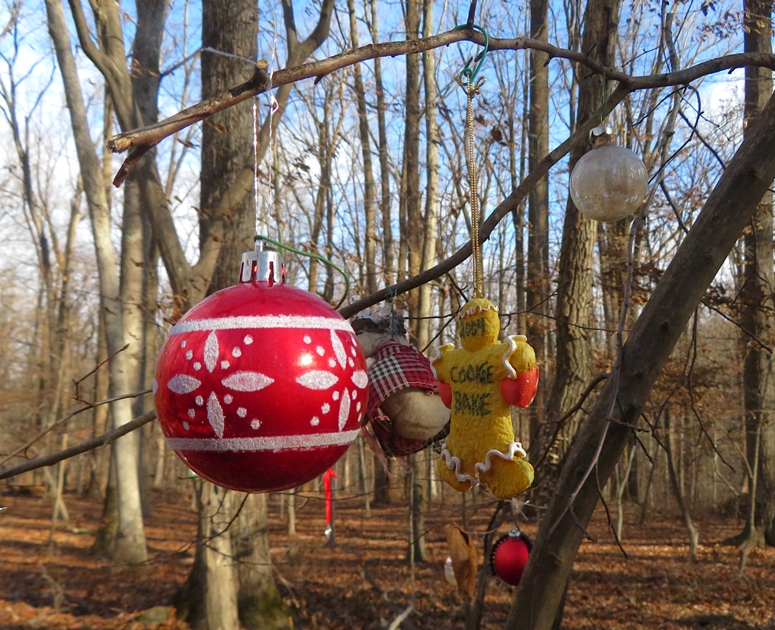 Xmas ornaments on tree