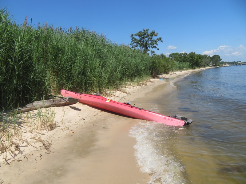 My kayak on beach which I believe is public land