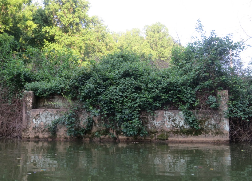 Overgrown bridge foundation