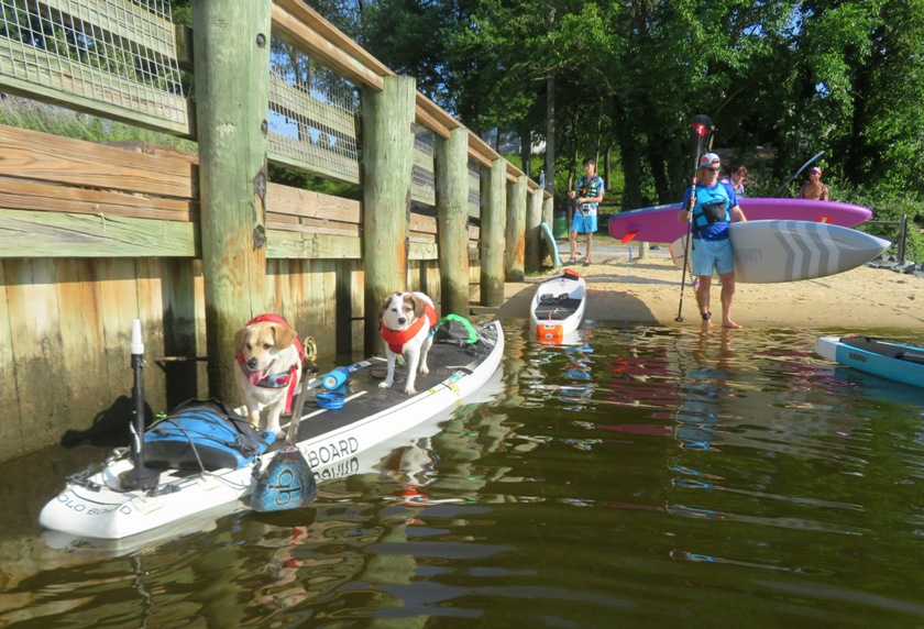Daphne and Mia on the SUP, ready to go