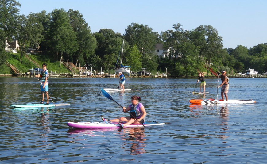 Five paddleboarders