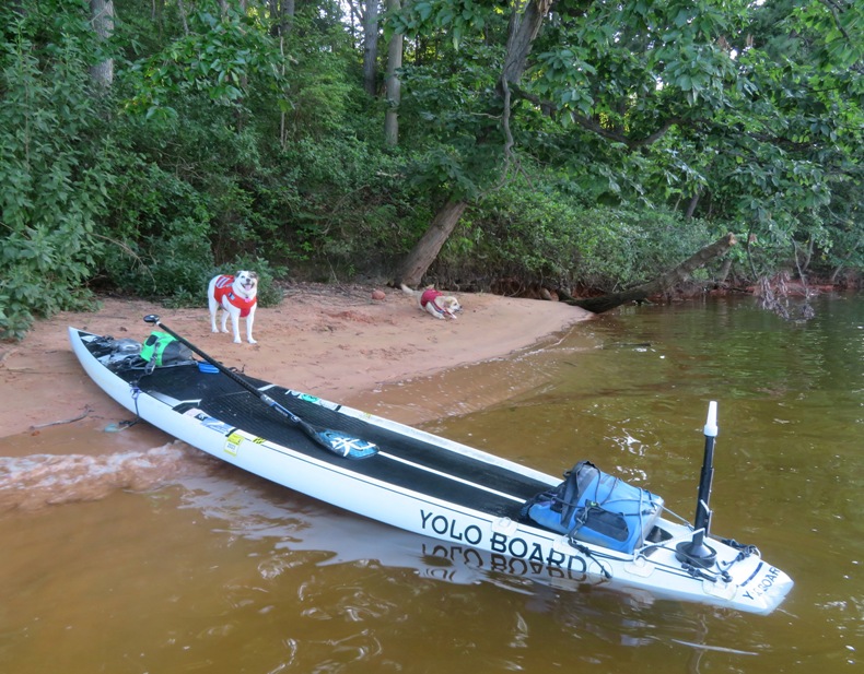 Mia and Daphne on the beach next to my SUP