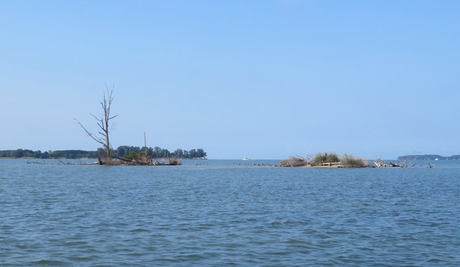 Two unnamed islands, one with a single dead tree