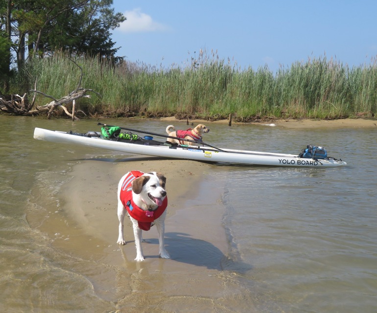 Mia, my SUP behind her, and Daphne being the SUP