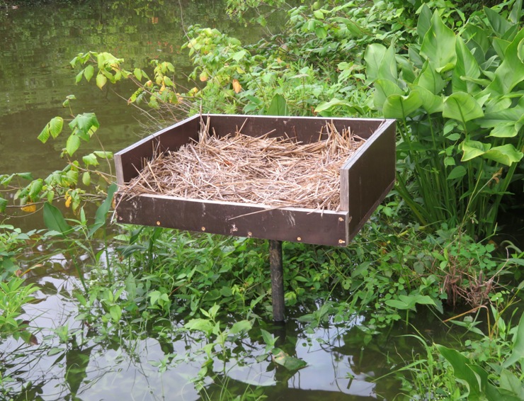 Elevated nesting platform