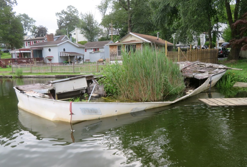 Boat wreck in shallows with lots of greenery
