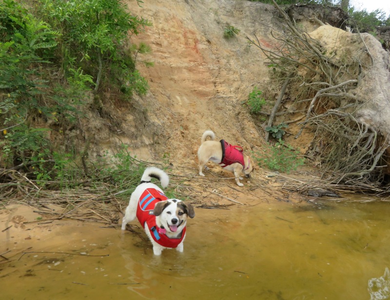 Mia and Daphne on small beach
