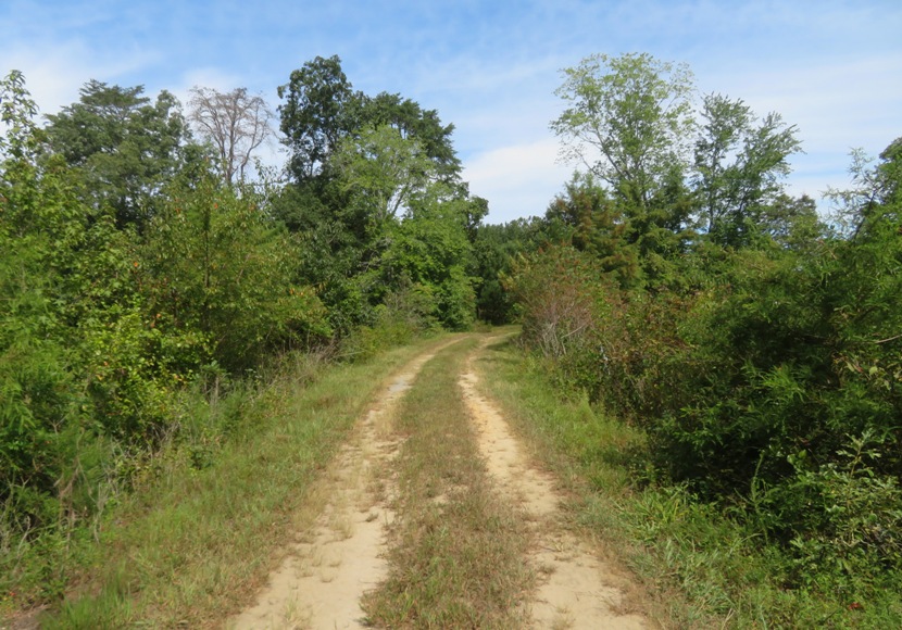 Primitive dirt road separating bodies of water