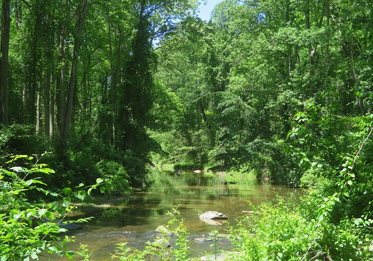 Little Gunpowder Falls