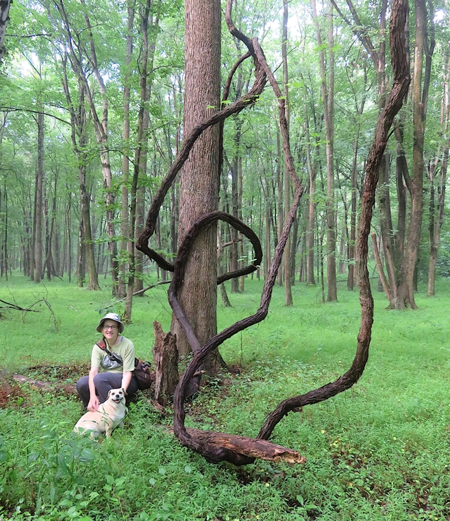 Norma and Daphne with grapevines
