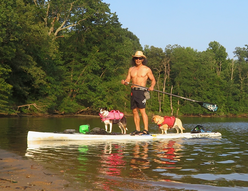 Dogs on SUP with Daphne looking away