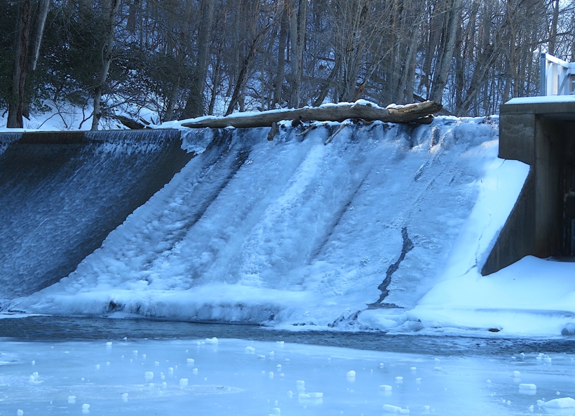 Close-up of the frozen section