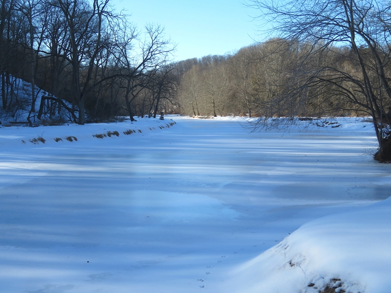 Frozen Deer Creek