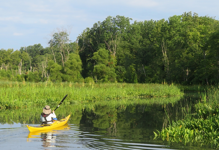 Sara kayaking upstream on a tributary