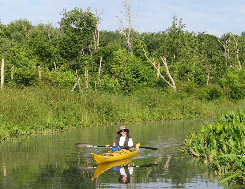 Sara in her kayak surrounded by greenery