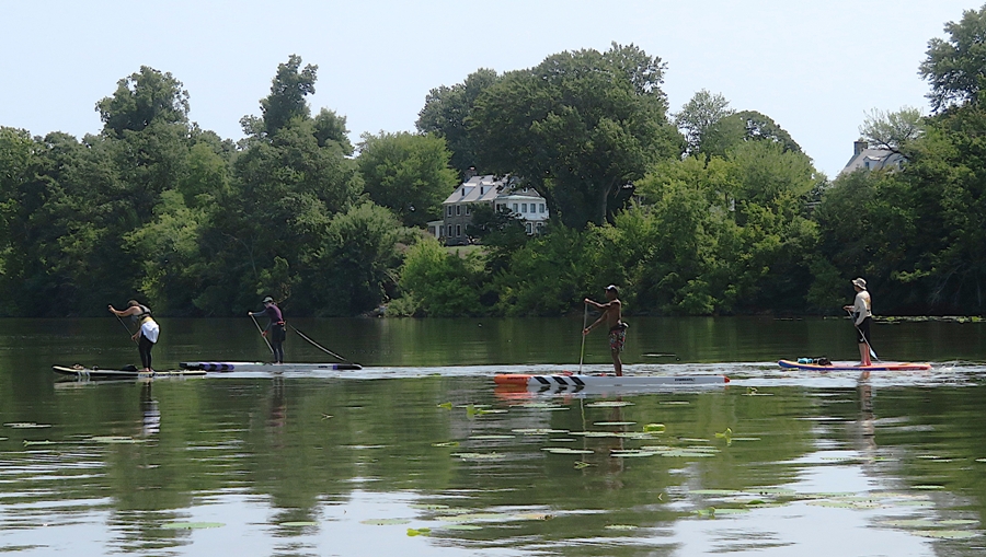 Four paddleboarders heading towards the gold mine