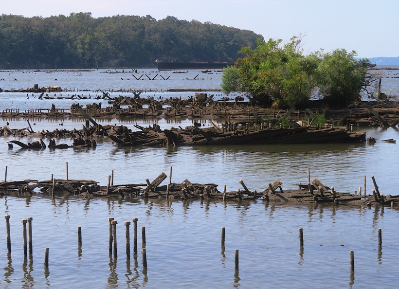 The tops of sunken wrecks with the Accomac in the distance