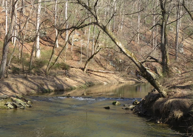Rope swing above the water